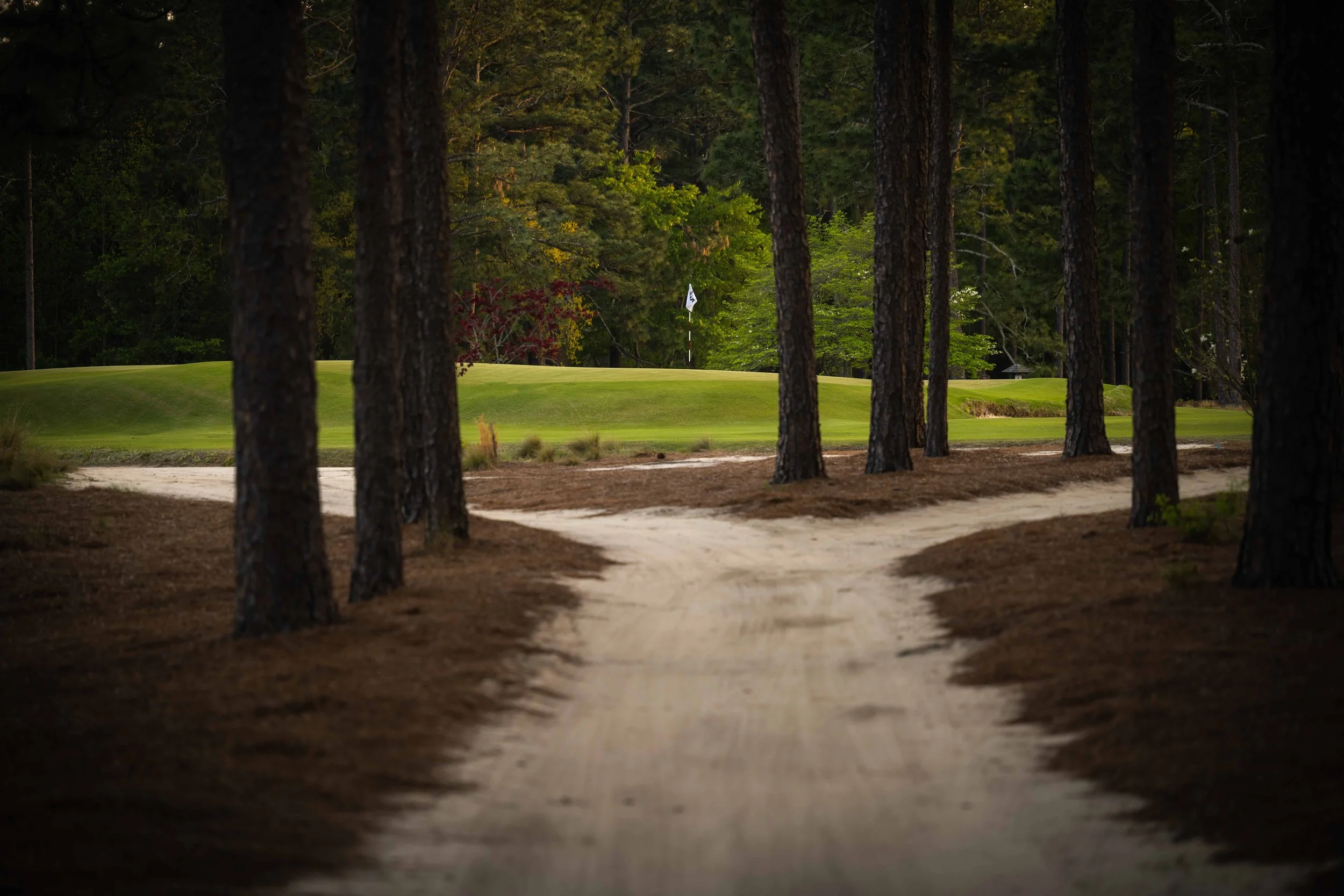 Pinehurst No. 2 — PJKoenig Golf Photography
